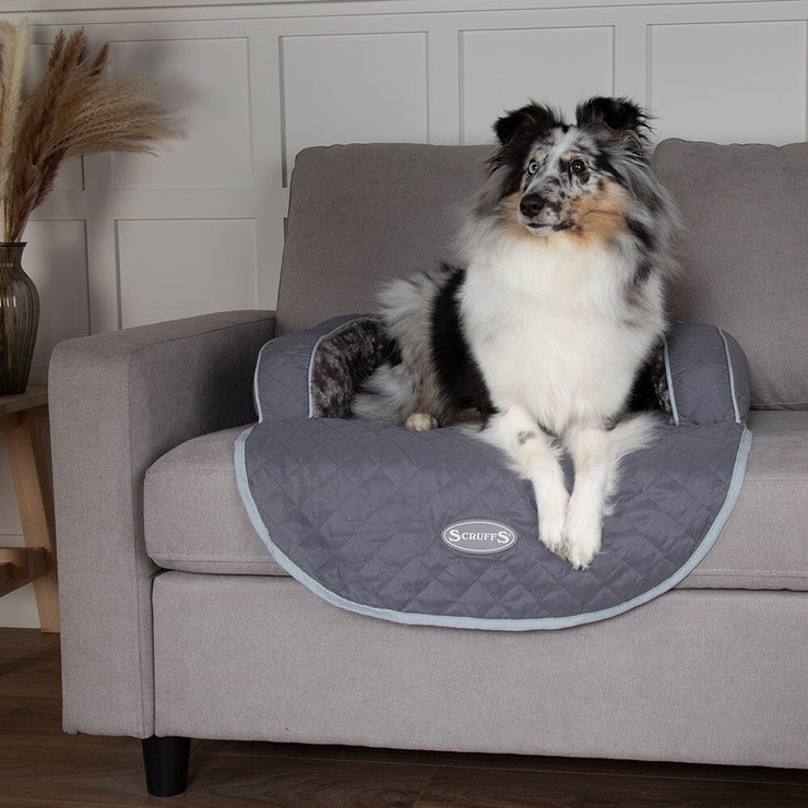 Scruffs Wilton Sofa Bed