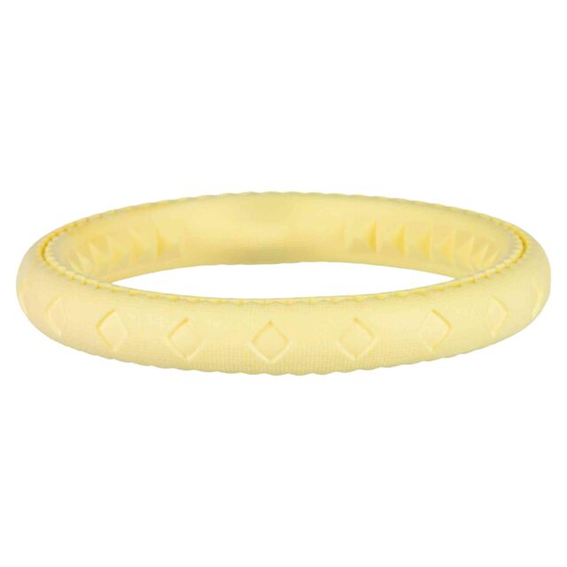 Aqua Dog Toy Ring