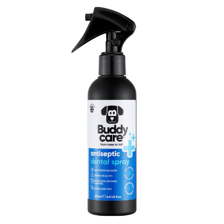 BuddyCare Antiseptic Dental Spray