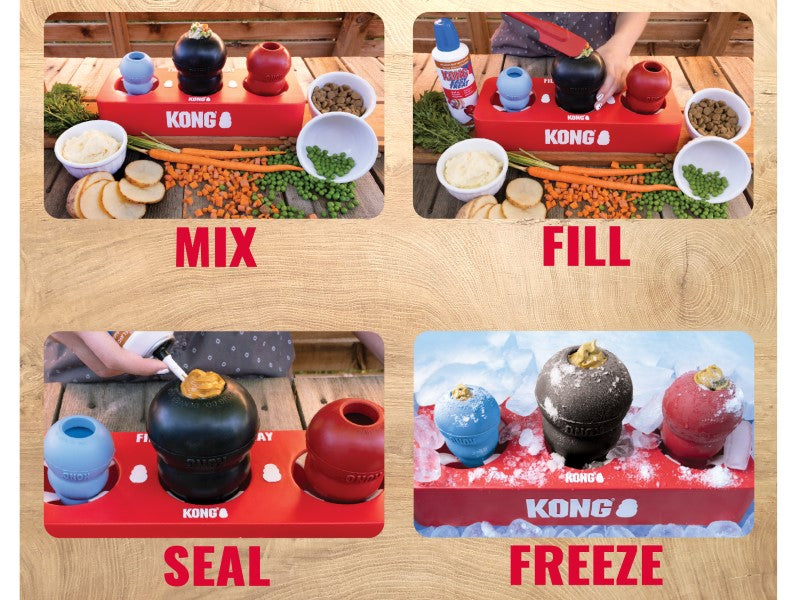 Kong Fill or Freeze Tray - PetWorld