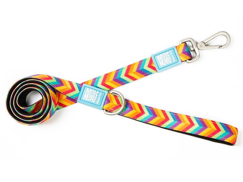 Max & Molly Summertime Lead - PetWorld