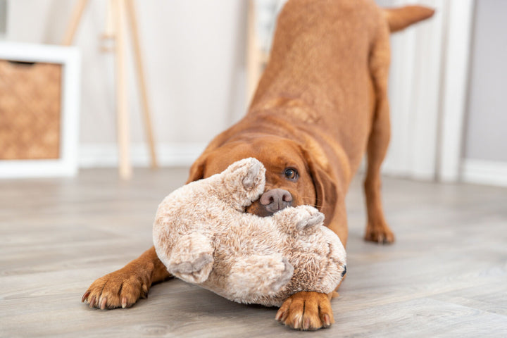 Trixie Koala Dog Toy