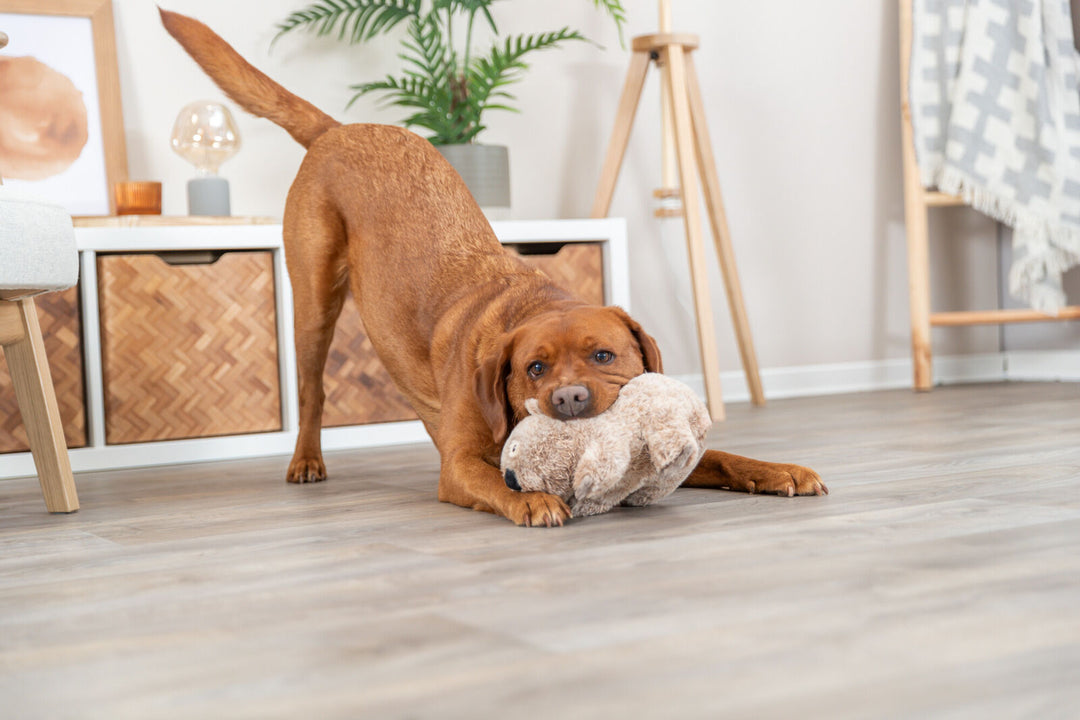 Trixie Koala Dog Toy