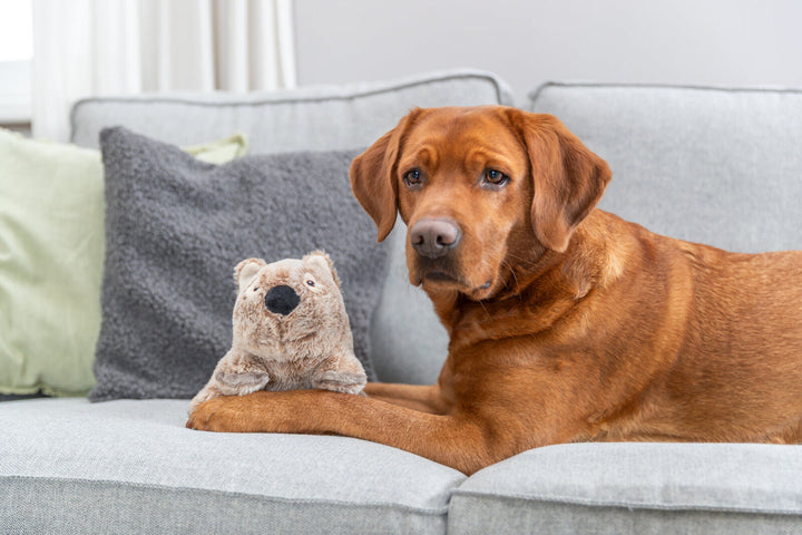 Trixie Koala Dog Toy