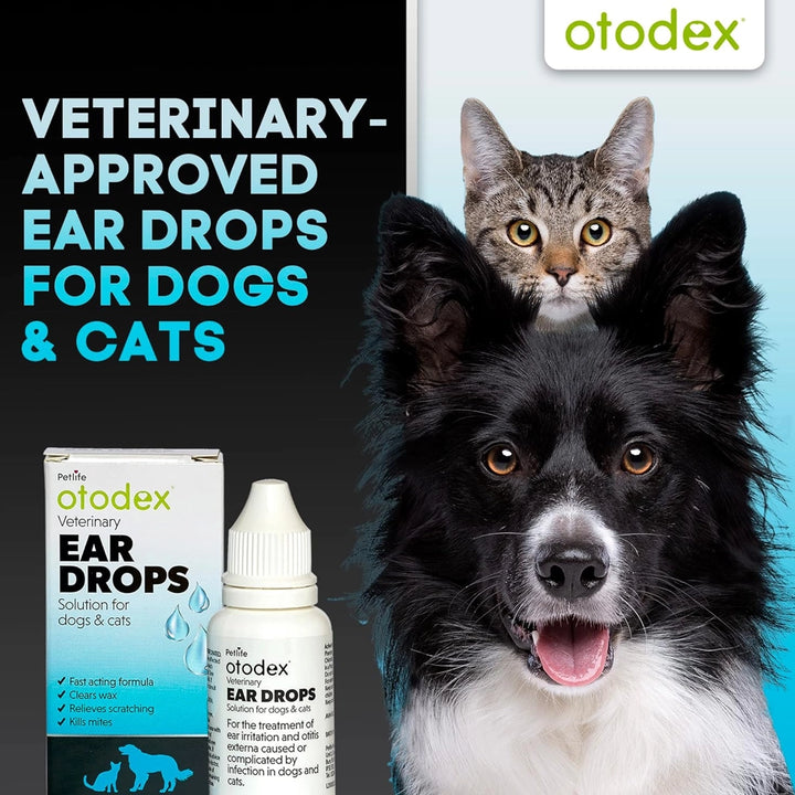 Otodex Eardrops 14ml