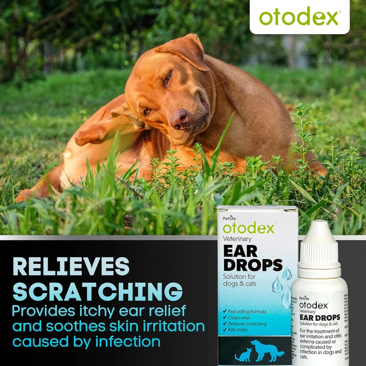 Otodex Eardrops 14ml