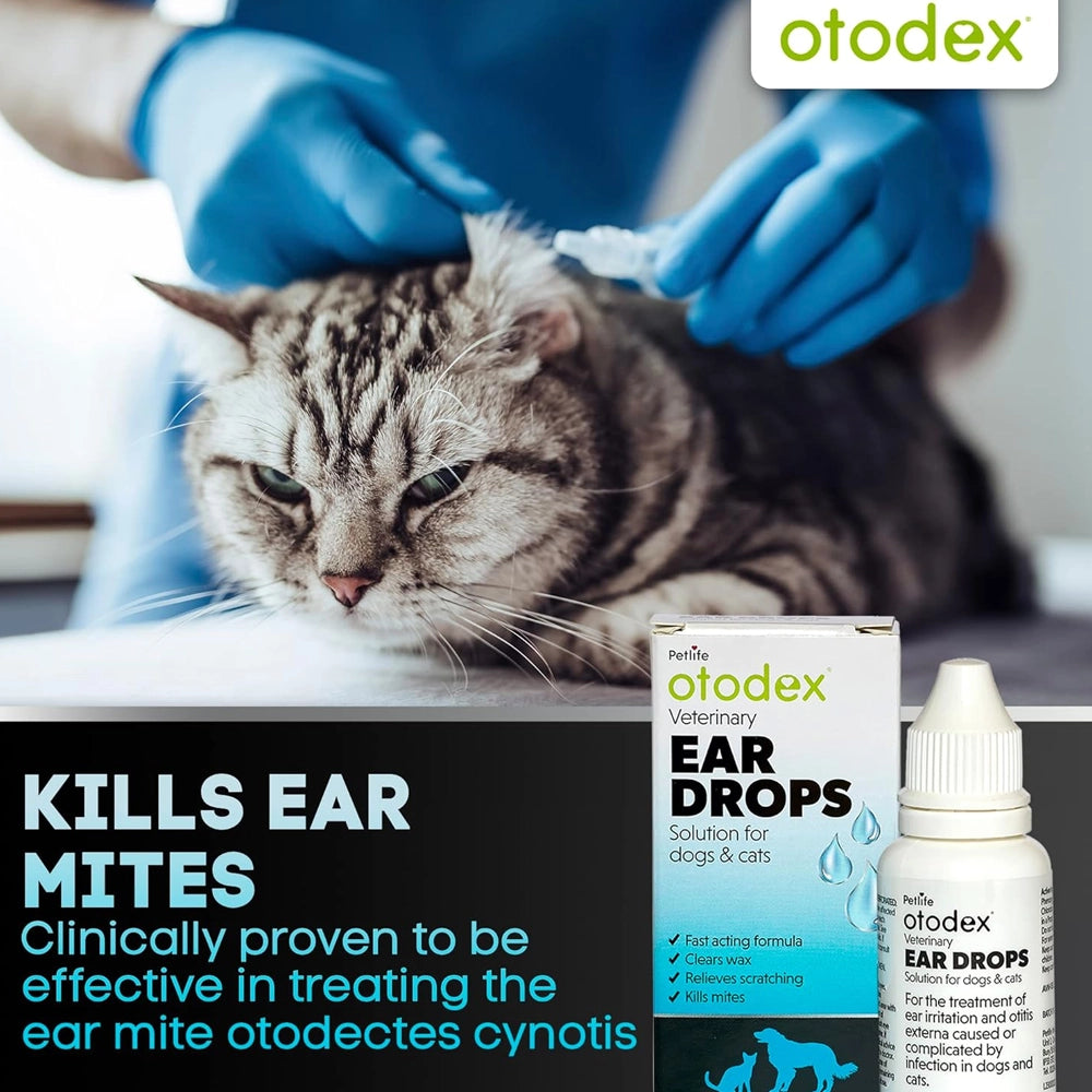 Otodex Eardrops 14ml