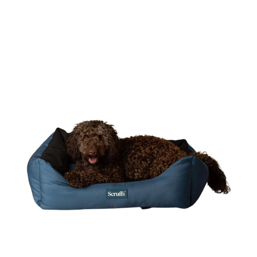 Scruffs Expedition Box Bed