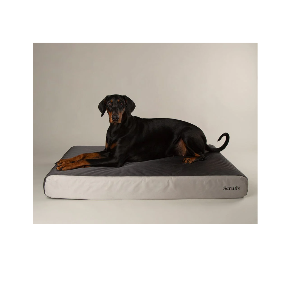 Scruffs ArmourDillo Orthopaedic Dog Bed