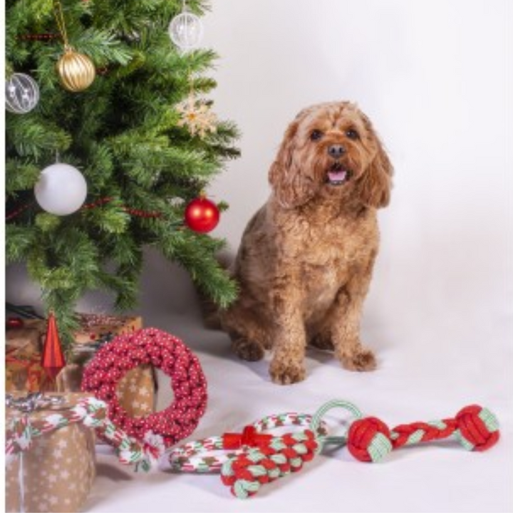 Christmas Rope Dog Toy- 44cm