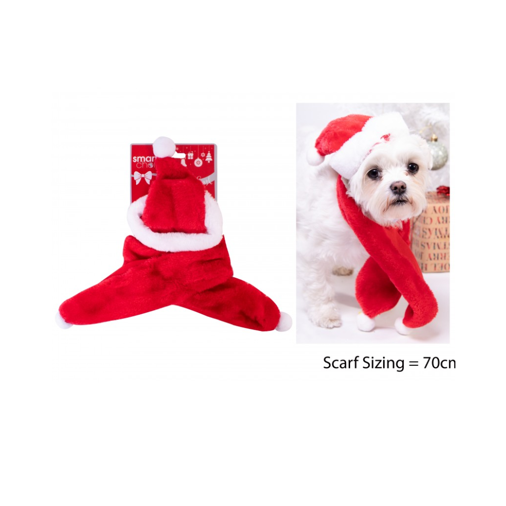 Christmas Santa Hat And Scarf For Dogs