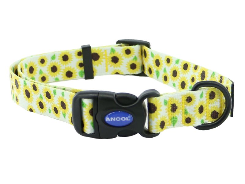 Soho Sunflower Nylon Adjustable Dog Collar