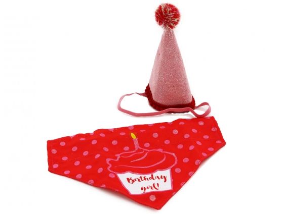 Pink Happy Birthday Bandana and Hat set