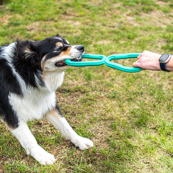 Zoon Tugger Rubber - PetWorld