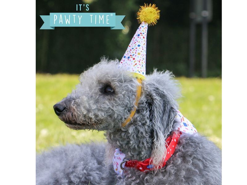 Sprinkle Happy Birthday Bandana and Hat set